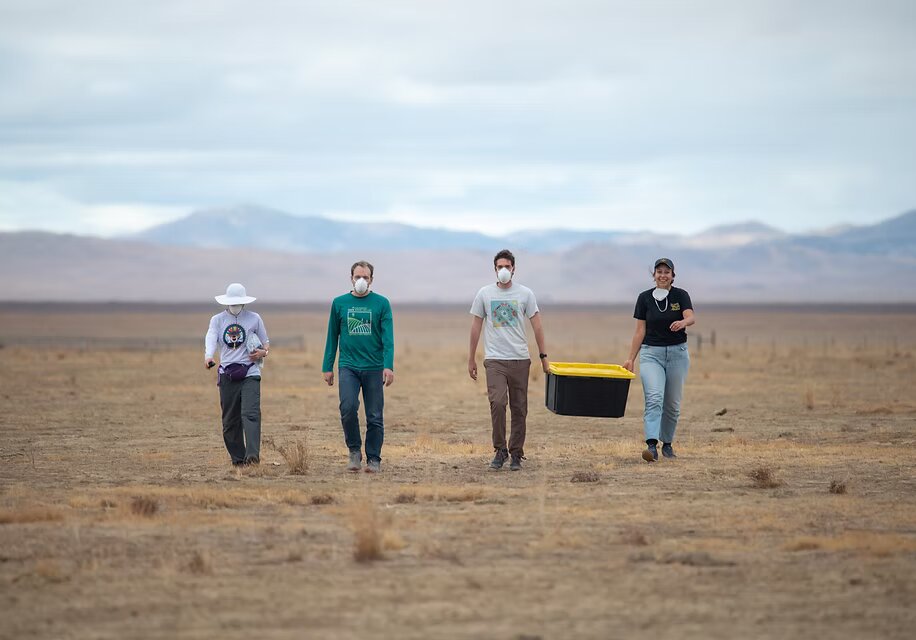 Field team sampling in an arid California landscape