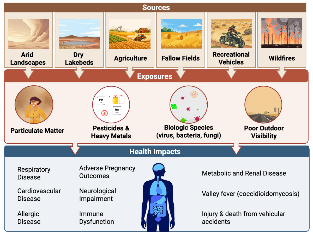 Infographic showing sources, exposures, and health impacts of mineral dust